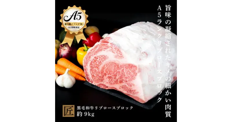 【ふるさと納税】おやま和牛 A5 極 リブロースブロック　約9kg【配送不可地域：離島】【1096921】