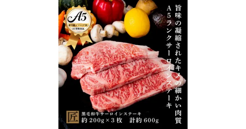 【ふるさと納税】おやま和牛 A5 極 サーロイン 約200g×3枚【配送不可地域：離島】【1096925】