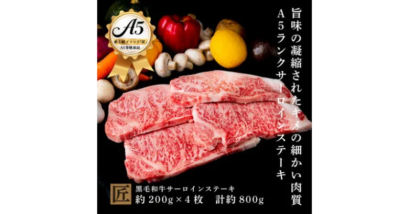 【ふるさと納税】おやま和牛 A5 極 サーロイン 約200g×4枚【配送不可地域：離島】【1096926】