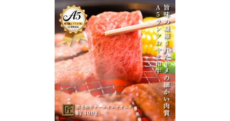 【ふるさと納税】おやま和牛 A5 極 サーロイン 焼肉用　約400g【配送不可地域：離島】【1096929】