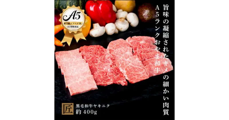 【ふるさと納税】おやま和牛 A5 極 ヤキニク 約400g【配送不可地域：離島】【1096935】