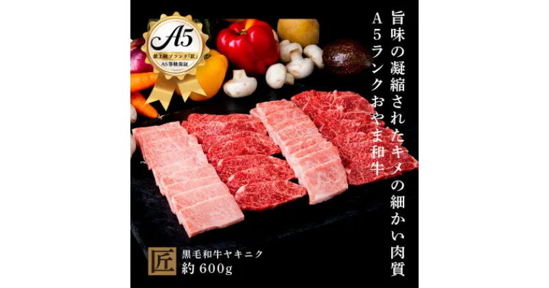 【ふるさと納税】おやま和牛 A5 極 ヤキニク 約600g【配送不可地域：離島】【1096936】