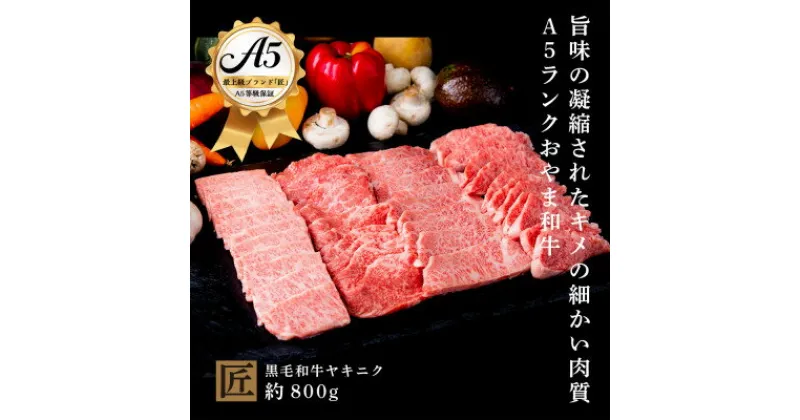 【ふるさと納税】おやま和牛 A5 極 ヤキニク 約800g【配送不可地域：離島】【1096937】