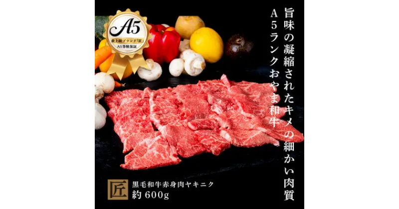 【ふるさと納税】おやま和牛 A5 極 赤身ヤキニク 約600g【配送不可地域：離島】【1096942】