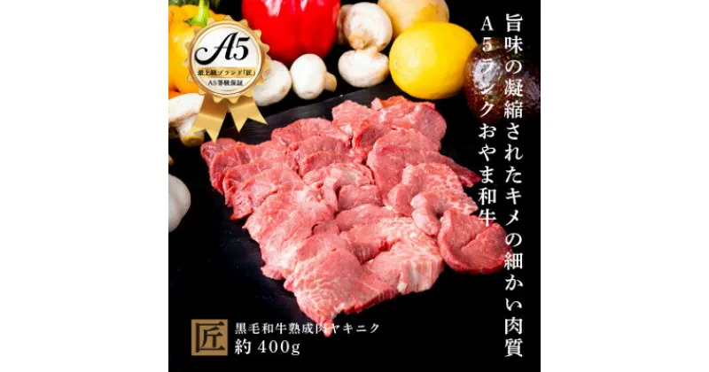 【ふるさと納税】おやま和牛 A5 極 熟成肉ヤキニク 約400g【配送不可地域：離島】【1096944】