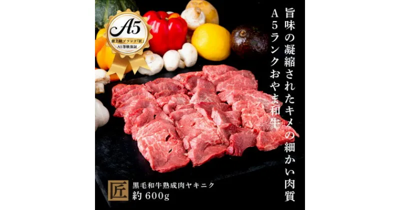 【ふるさと納税】おやま和牛 A5 極 熟成肉ヤキニク 約600g【配送不可地域：離島】【1096945】