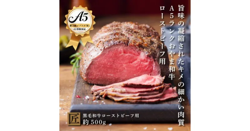 【ふるさと納税】おやま和牛 A5 極 ローストビーフ用 約500g【配送不可地域：離島】【1096948】