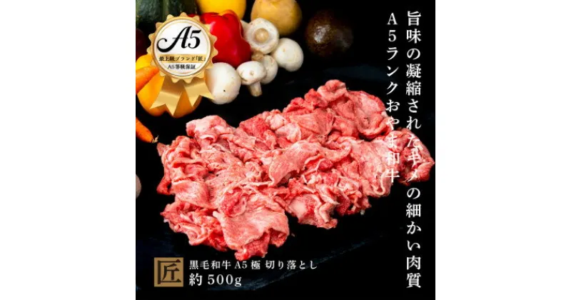 【ふるさと納税】おやま和牛 A5 極 和牛切り落とし 約500g【配送不可地域：離島】【1096950】