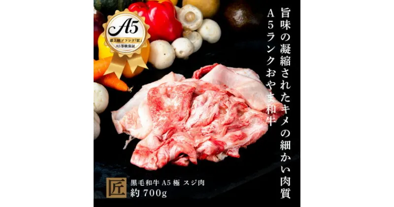 【ふるさと納税】おやま和牛 A5 極 スジ肉 約700g【配送不可地域：離島】【1096951】