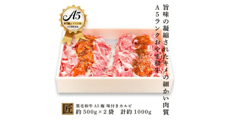 【ふるさと納税】おやま和牛 A5 極 味付きカルビ約500g×2【配送不可地域：離島】【1096953】