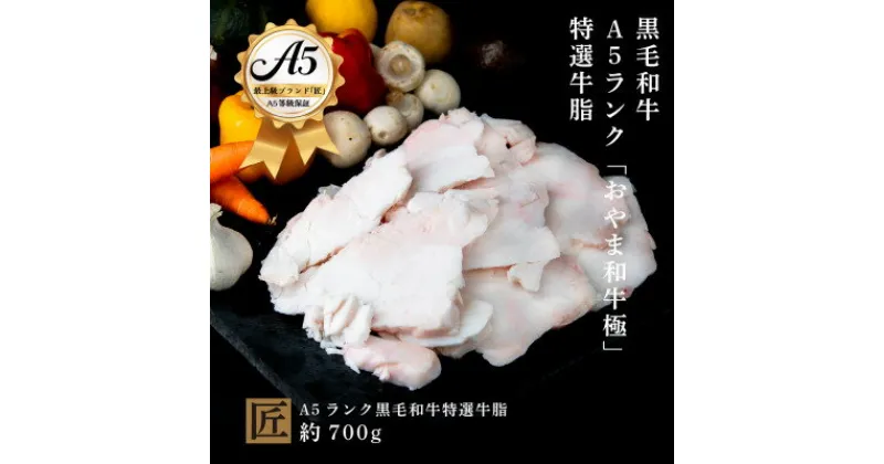 【ふるさと納税】おやま和牛 A5 極 牛脂約700g【配送不可地域：離島】【1096961】