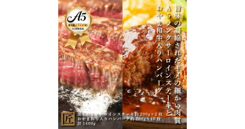 【ふるさと納税】「おやま和牛 A5 極 サーロイン約200g×2枚」 と 「肉屋のハンバーグ×10枚」【配送不可地域：離島】【1096955】