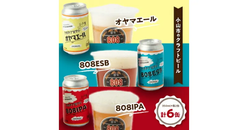 【ふるさと納税】小山市の農作物を使ったHandMadeクラフトビール　808ブルワリー【配送不可地域：離島】【1231228】