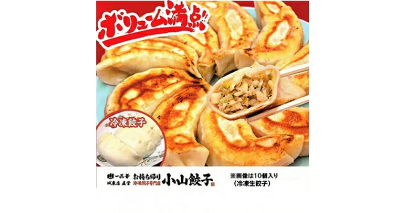 【ふるさと納税】冷凍餃子専門店 小山餃子 [Mセット全85個]ひとくち餃子60個/大きい餃子25個【配送不可地域：離島】【1277811】