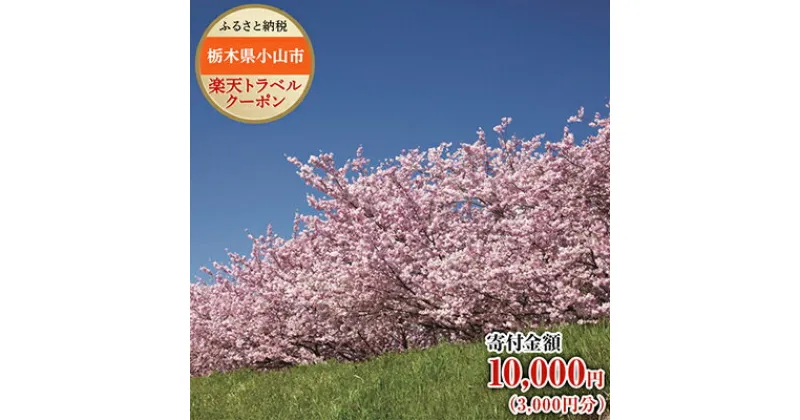 【ふるさと納税】栃木県小山市の対象施設で使える楽天トラベルクーポン寄付額10,000円