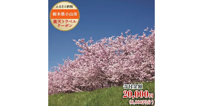 【ふるさと納税】栃木県小山市の対象施設で使える楽天トラベルクーポン寄付額20,000円