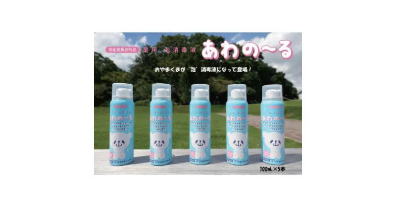 【ふるさと納税】薬用泡消毒液　あわの～る【消毒　アルコール　携帯用】100mL×5本【配送不可地域：沖縄県】【1387591】