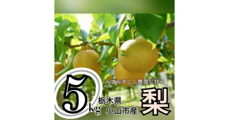 【ふるさと納税】ずっしり5kg【にっこり】　栃木県小山市産の梨　【1441930】