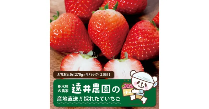 【ふるさと納税】産地直送!!栃木県遠井農園の美味しいとちおとめ【270g×4パック(2箱)】【配送不可地域：離島】【1518944】