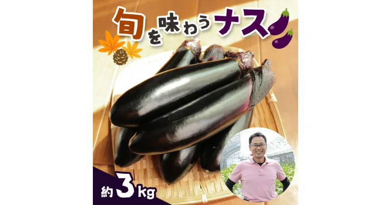 【ふるさと納税】旬を味わうナス 約3kg ｜ 野菜 ナス 茄子 夏秋ナス 長ナス 特産品 栃木県 真岡市 送料無料 なす なすび 野菜