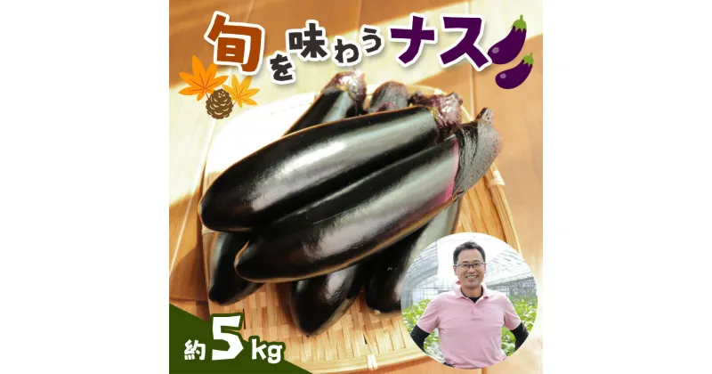 【ふるさと納税】旬を味わうナス 約5kg ｜ 野菜 ナス 茄子 夏秋ナス 長ナス 特産品 栃木県 真岡市 送料無料 なす なすび