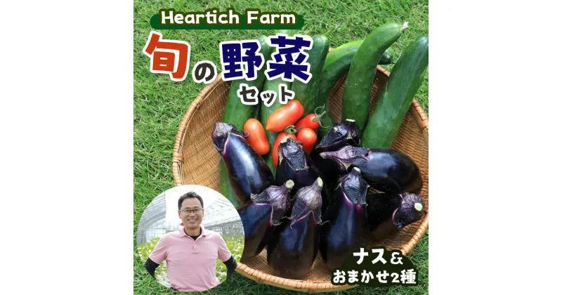 【ふるさと納税】Heartich Farm 旬の野菜セット (ナス＆おまかせ2種) ｜ 野菜 ナス 茄子 セット 特産品 栃木県 真岡市 送料無料 なす なすび