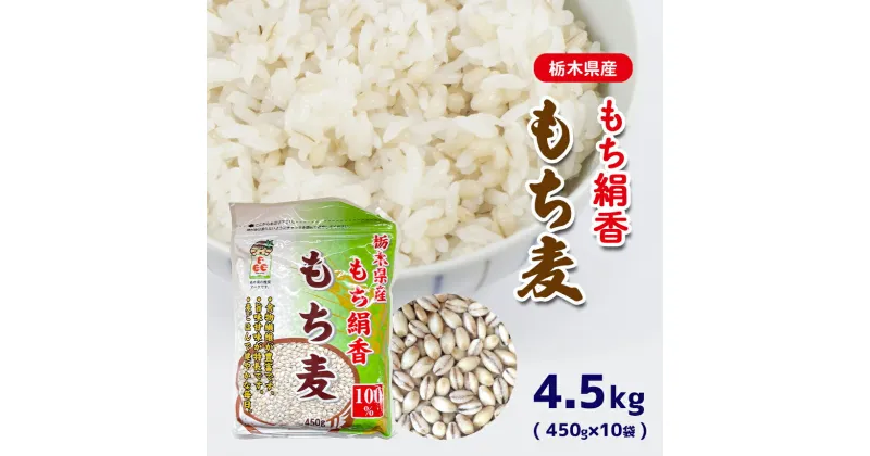 【ふるさと納税】 もち麦 栃木県産もち絹香 もち麦 4.5kg(450g×10袋) | 栃木県 真岡市 送料無料 もち麦 ダイエット 食物繊維 ご飯 血糖値 糖質 健康 効果 栄養