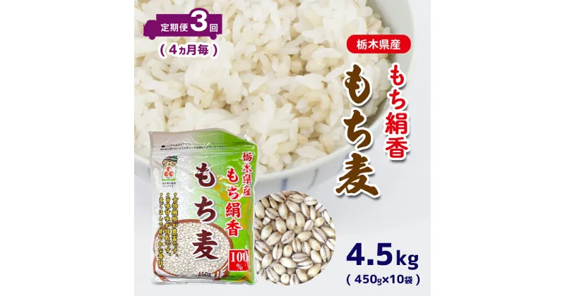 【ふるさと納税】 もち麦 定期便 3回 (4ヶ月毎) 栃木県産もち絹香 もち麦 (450g×10袋) もち麦 | 栃木県 真岡市 送料無料 定期便 もち麦 ダイエット 食物繊維 ご飯 血糖値 糖質 健康 効果 栄養