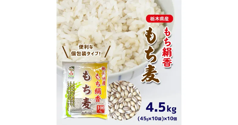 【ふるさと納税】 もち麦 (45g×10袋) × 10個 小袋 使いやすい 便利 スーパーフード 栃木県 真岡市