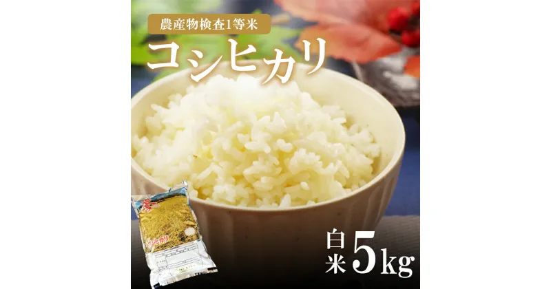 【ふるさと納税】 コシヒカリ | お米 こめ ご飯 ごはん おにぎり おむすび 米 真岡産コシヒカリ 白米 5kg 送料無料 コシヒカリ 真岡産 こしひかり