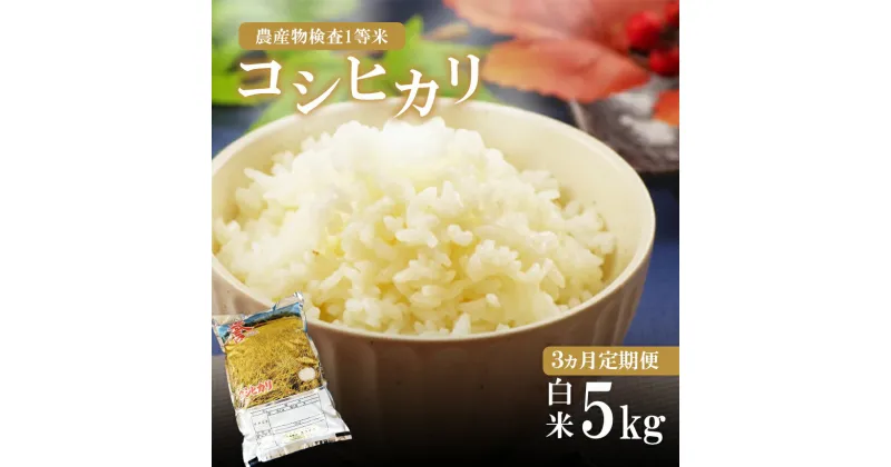 【ふるさと納税】 お米の定期便 3回定期 | こめ 米 ごはん ご飯 おにぎり おむすび 真岡産 コシヒカリ 白米 5kg 3回 送料無料 こしひかり