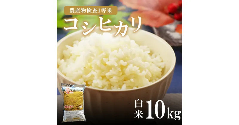 【ふるさと納税】 コシヒカリ お米 米 真岡産コシヒカリ 白米 10kg｜お米 おこめ ご飯 ごはん 白米 おにぎり おむすび 10kg コシヒカリ 真岡市 送料無料 こしひかり 真岡産 真岡産コシヒカリ