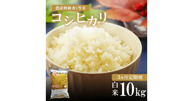 【ふるさと納税】 お米の定期便 3回定期 真岡産 コシヒカリ 白米 10kg 3回｜お米 おこめ ご飯 ごはん 白米 おにぎり おむすび 10kg コシヒカリ 真岡市 送料無料 真岡産 真岡産コシヒカリ こしひかり 3回