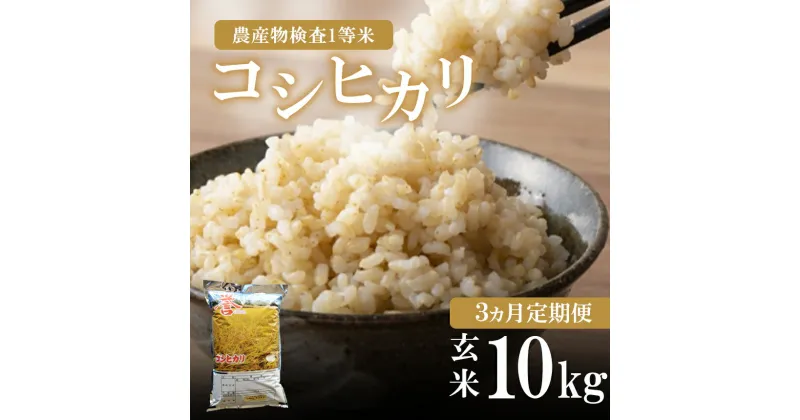 【ふるさと納税】 お米の定期便 3回定期 真岡産｜ コシヒカリ 玄米 10kg 3回 お米 おこめ ごはん ご飯 真岡産 おにぎり おむすび 送料無料 真岡市 栃木県 こしひかり