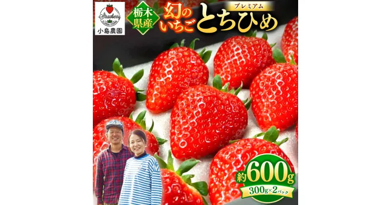 【ふるさと納税】幻 の イチゴ とちひめ 600g〈2024年1月中旬～3月中旬の発送〉｜希少 柔らかい 果肉 大粒 ジューシー 果汁 いちご 苺 特産品 栃木県 真岡市