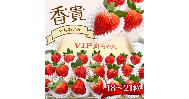 【ふるさと納税】 【先行予約】とちあいか 香貴 18 ～ 21粒 高級 高価 贅沢 ぜいたく 大きい ここだけ ＜ 発送期間 ： 1月 上旬 ～ 2月 中旬 ＞ | いちご 苺 イチゴ ストロベリー フルーツ 果物 名産品 希少品種 数量限定 期間限定 あまい 甘い 栃木県 真岡市 送料無料