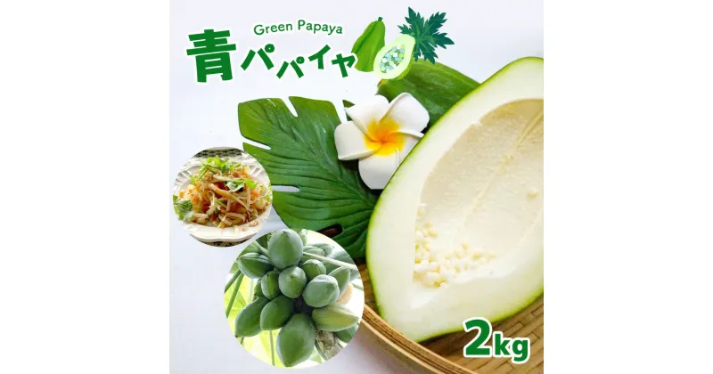 【ふるさと納税】【2024年先行予約】 パパイヤ 青パパイヤ 野菜 健康野菜 2kg 真岡市産 国産 数量限定 特産品 栃木県 真岡市 人気 お試し