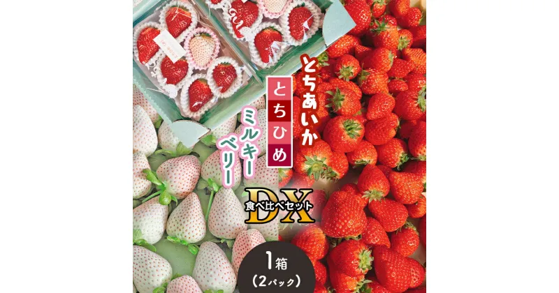 【ふるさと納税】とちあいか・とちひめ・ミルキーベリー食べ比べセット DX 〈期間限定〉1月～2月 ｜ 苺 いちご とちあいか とちひめ ミルキーベリー パック 特産品 栃木県 真岡市 送料無料