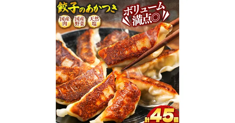 【ふるさと納税】手作り 餃子 の あかつき | 売れ筋 大 人気 好評 やみつき リピーター リピート ぎょうざ ギョウザ 旨み 旨味 ぱりっと もっちり ジューシー おかず 惣菜 中華 豚肉 肉 肉汁 地場 野菜 国産野菜 天然塩 たっぷり ごはん おつまみ 真岡市 送料無料