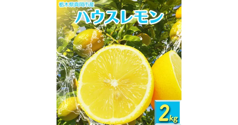 【ふるさと納税】真岡市産 ハウス レモン 2kg ｜れもん グリーン 酸味 香り 強い イエロー 糖度 高い 果汁 ノーワックス 防腐剤 防カビ剤 不使用 皮ごと 国産 真岡市 栃木県 限定 送料無料