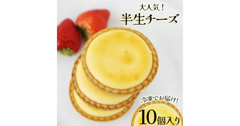 【ふるさと納税】半生チーズ　10個入 | チーズケーキ スイーツ 洋菓子 贈答用 お取り寄せ 誕生日 記念日 お土産 内祝い 出産祝い 美味しい 甘い 濃厚 とろける 幸せ 人気 栃木県 真岡市 送料無料