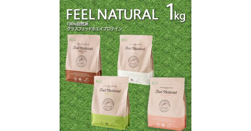 【ふるさと納税】FEEL NATURAL | ゴーホールディングス フィール ナチュラル ダイエット サポート 置き換え プロティン 乳酸菌 無理 高たんぱく 高タンパク ドリンク 自然 優しい 理想 身体 体 ヘルシー 国産 ココア 抹茶 ミルクティー プレーン 栃木県 真岡市 送料無料