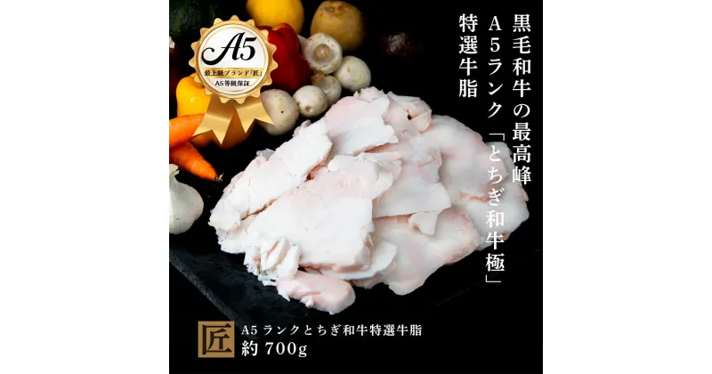 【ふるさと納税】とちぎ和牛 匠 A5 牛脂 約 700g ｜ 国産 和牛 牛 肉 生産者 認定 銘柄 A5 旨味 うまみ きめ細かい 品質 柔らかく 芸術品 特産品 栃木県 真岡市 送料無料 栃木県共通返礼品