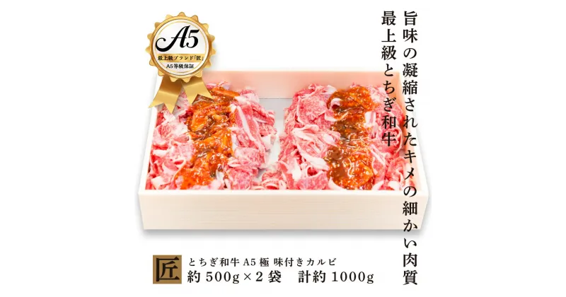 【ふるさと納税】とちぎ和牛 A5 味付きカルビ 約 500g × 2 ｜ 国産 和牛 牛 肉 生産者 認定 銘柄 A5 旨味 うまみ きめ細かい 品質 柔らかく 芸術品 特産品 栃木県 真岡市 送料無料 栃木県共通返礼品