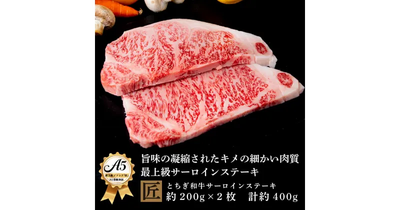 【ふるさと納税】とちぎ和牛 A5サーロイン 約200g×2枚 ｜ 国産 和牛 牛 肉 生産者 認定 銘柄 A5 旨味 うまみ きめ細かい サシ 霜降り とろける 品質 柔らかく 美味しい おいしい 芸術品 特産品 栃木県 真岡市 送料無料 栃木県共通返礼品