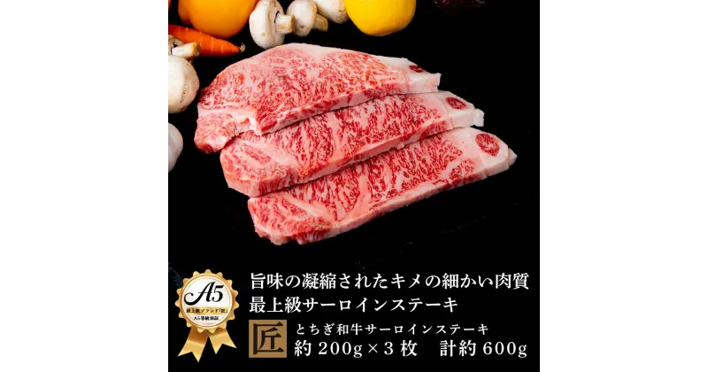 【ふるさと納税】とちぎ和牛 A5サーロイン 約200g×3枚 ｜ 国産 和牛 牛 肉 生産者 認定 銘柄 A5 旨味 うまみ きめ細かい サシ 霜降り とろける 品質 柔らかく 美味しい おいしい 芸術品 特産品 栃木県 真岡市 送料無料 栃木県共通返礼品