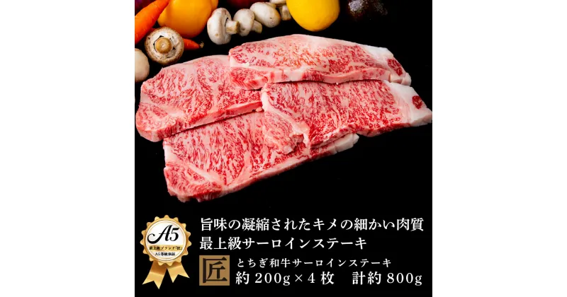 【ふるさと納税】とちぎ和牛 A5サーロイン 約200g×4枚 ｜ 国産 和牛 牛 肉 生産者 認定 銘柄 A5 旨味 うまみ きめ細かい サシ 霜降り とろける 品質 柔らかく 美味しい おいしい 芸術品 特産品 栃木県 真岡市 送料無料 栃木県共通返礼品