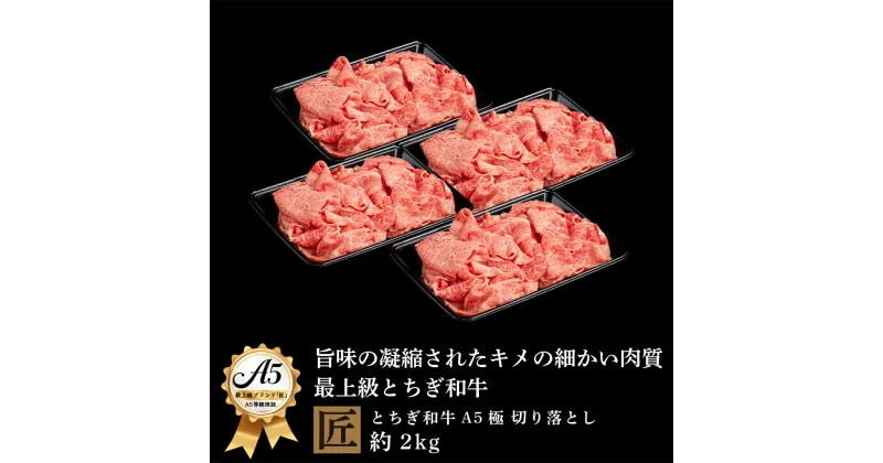 【ふるさと納税】とちぎ和牛 A5 切り落とし 約 2kg ｜ 国産 和牛 牛 肉 生産者 認定 銘柄 A5 旨味 うまみ きめ細かい 品質 柔らかく 芸術品 特産品 栃木県 真岡市 送料無料 栃木県共通返礼品