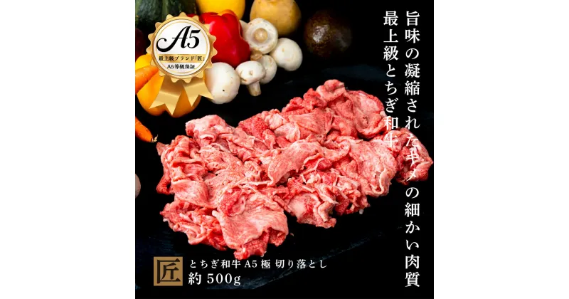 【ふるさと納税】とちぎ和牛 A5 切り落とし 約 500g ｜ 国産 和牛 牛 肉 生産者 認定 銘柄 A5 旨味 うまみ きめ細かい 品質 柔らかく 芸術品 特産品 栃木県 真岡市 送料無料 栃木県共通返礼品