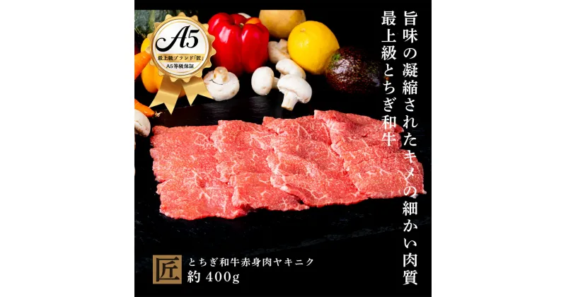 【ふるさと納税】とちぎ和牛 A5 赤身 焼き肉用 約 400g ｜ 国産 和牛 牛 肉 生産者 認定 銘柄 A5 旨味 うまみ きめ細かい 品質 柔らかく 芸術品 特産品 栃木県 真岡市 送料無料 栃木県共通返礼品